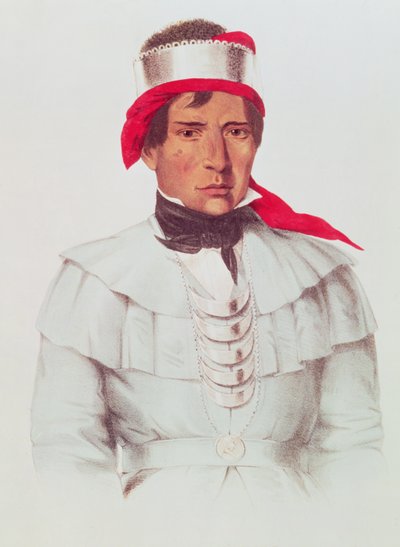 Chittee Yoholo, a Seminole Chief by American School